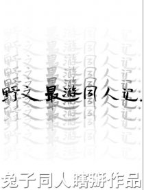 野文最游同人记