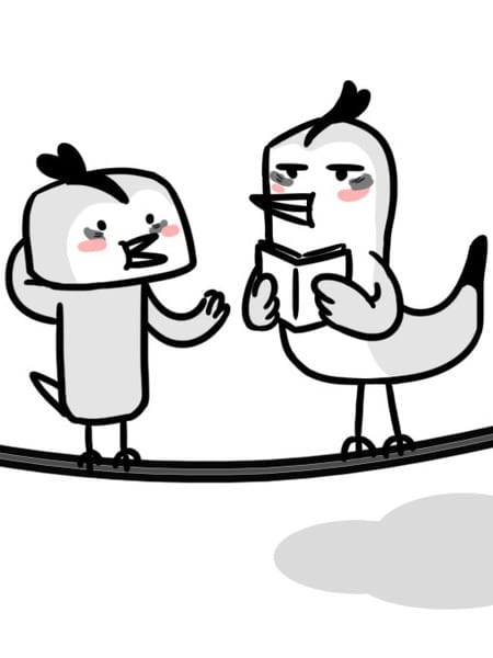 熬夜的鸟儿话真多